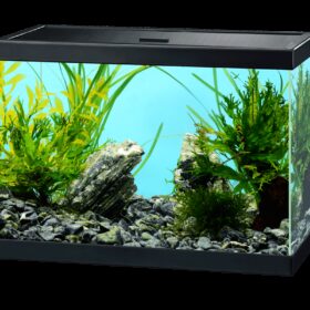 Aquarium Aqua15C Ciano