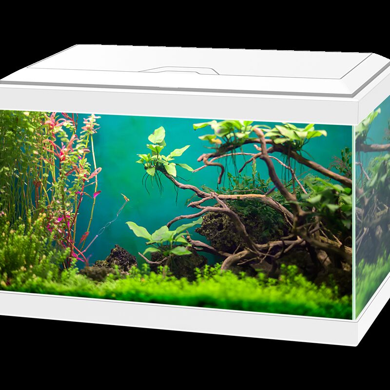 Aquarium Aqua20C Ciano