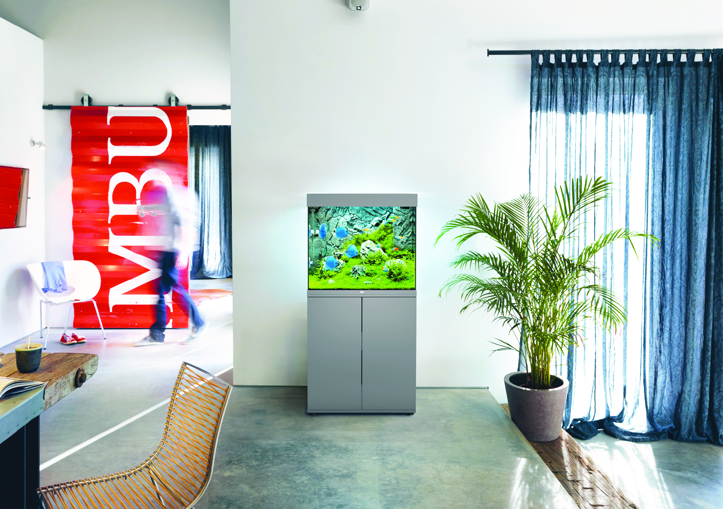 Aquario Passion Nos aquariums clefs en main Lido 125 gris ambiance