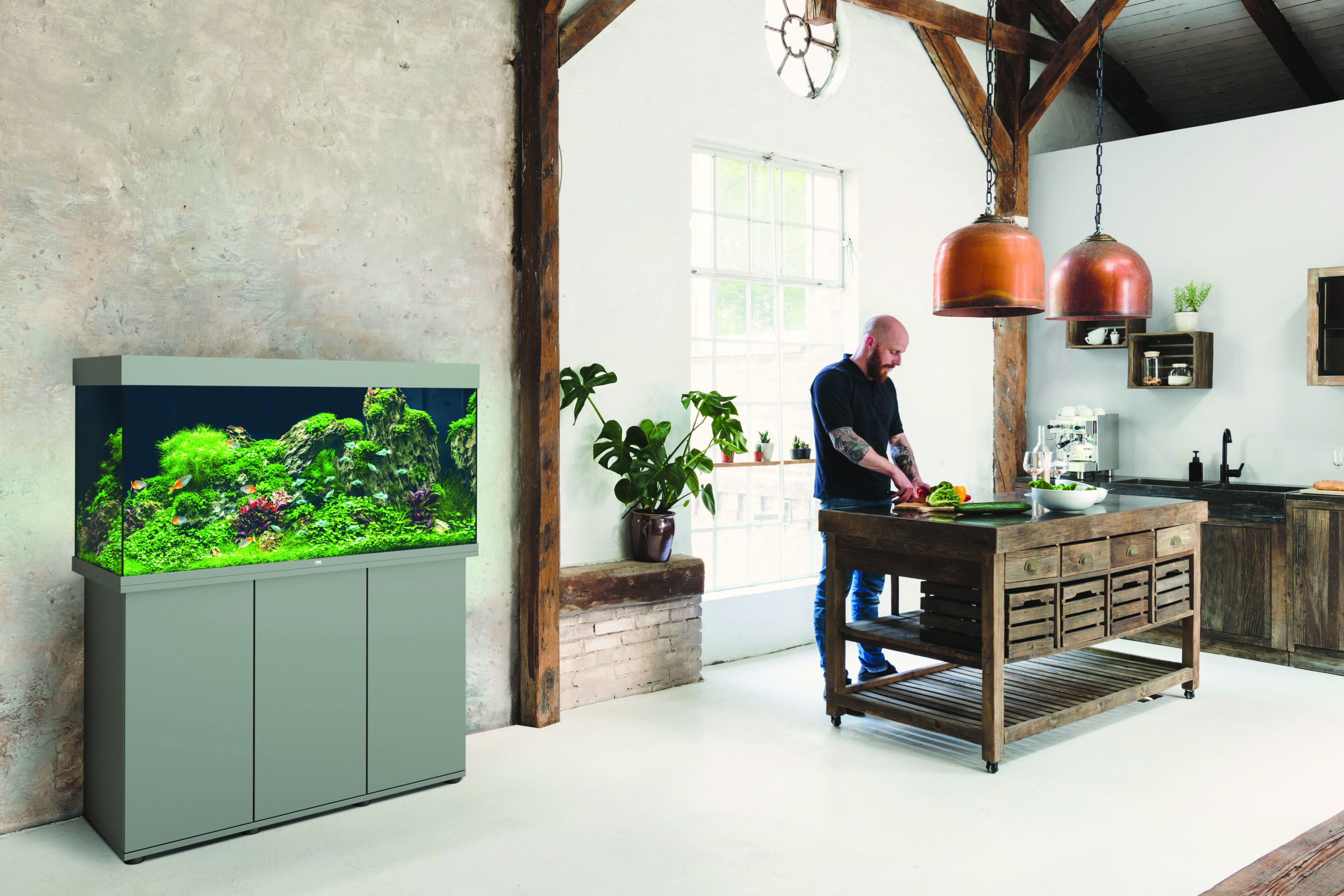 Aquario Passion Nos aquariums clefs en main Rio 350 gris ambiance scaled