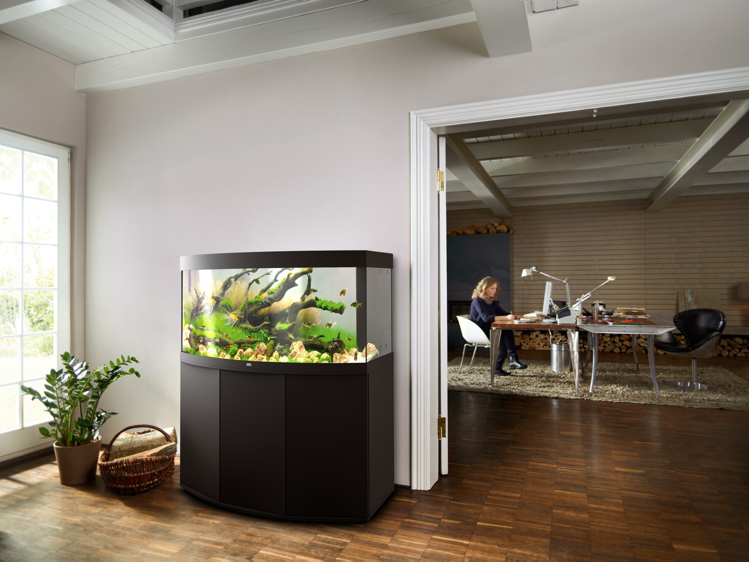 Aquario Passion Nos aquariums clefs en main Vision 260 Noir ambiance scaled
