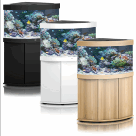 Aquario Passion Les nouveautés – Matériel & Nourriture trigon 350
