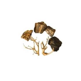 Aquario Passion Les nouveautés – Matériel & Nourriture roches racines wood fossil 4 6pc 2pc scalare