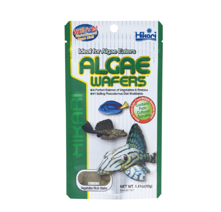 Hikari Algae Wafer