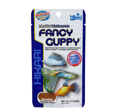 Hikari Fancy Guppy