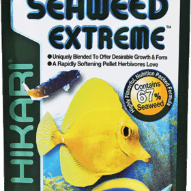 Hikari Seaweed Extreme