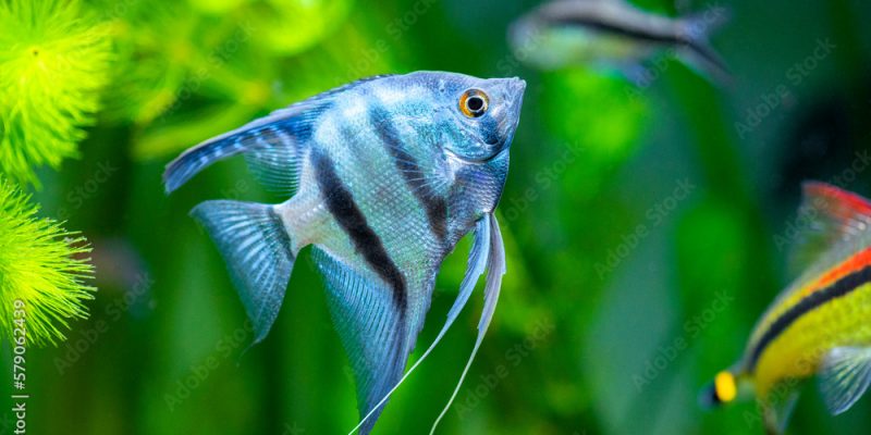 AdobeStock_579062439_Preview