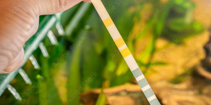 AdobeStock_604903744_Preview